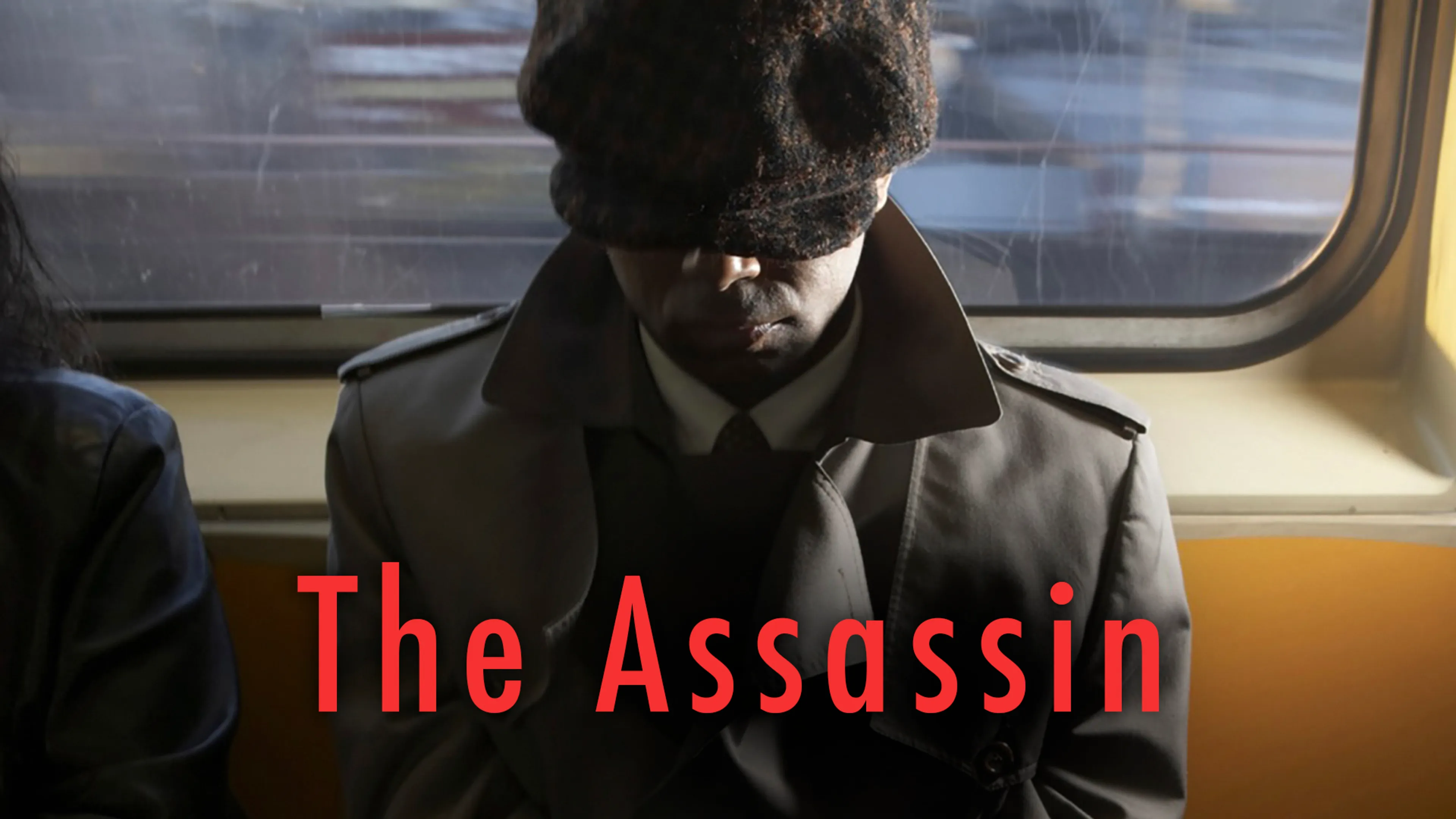 The Assassin poster